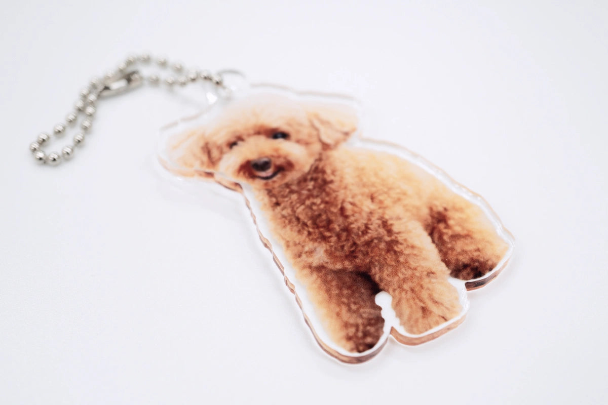 照片切割鑰匙圈