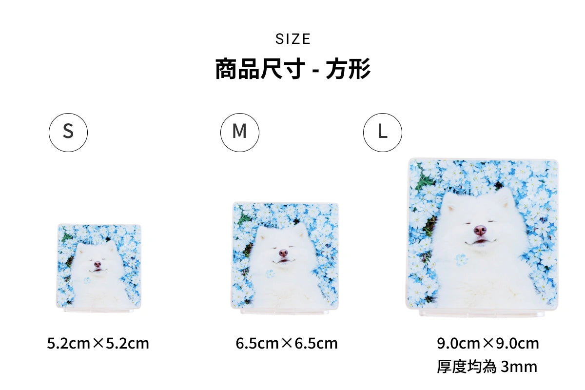 造型立牌商品尺寸 - 方形